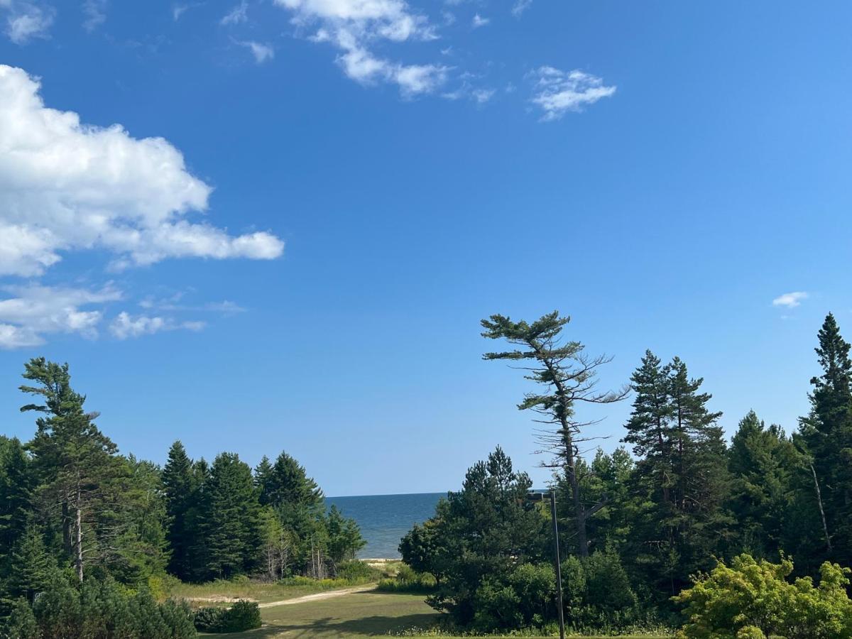 Gray Wolf Lodge 马尼斯蒂克 外观 照片