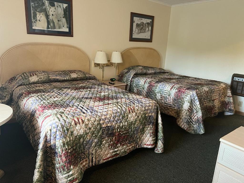Gray Wolf Lodge 马尼斯蒂克 外观 照片